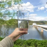 A glass of water
