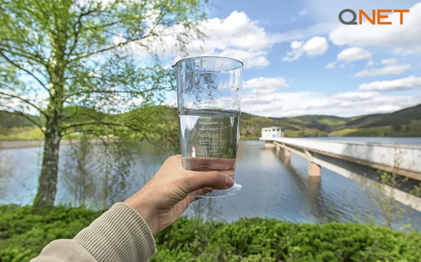 A glass of water