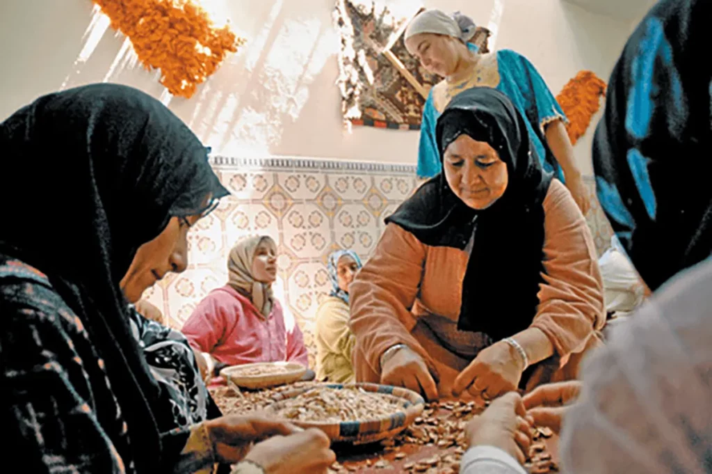 argan oil extraction