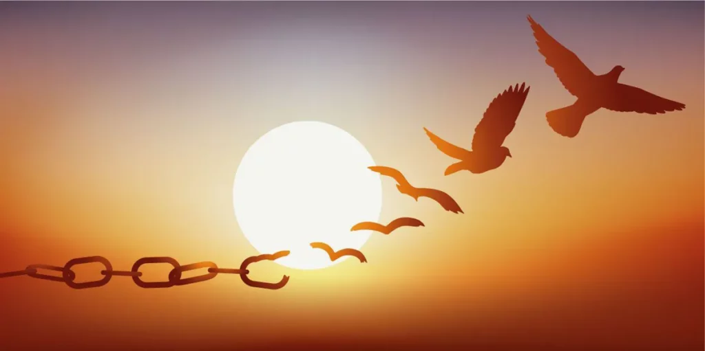 Freedom With QNET