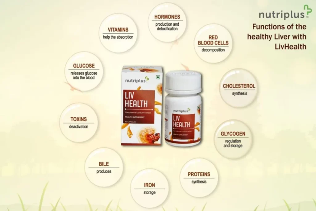 Liver Health