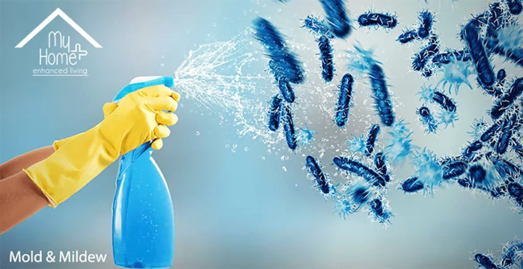 MyHomePlus DSG disinfectant spray getting rid of mold and mildew.